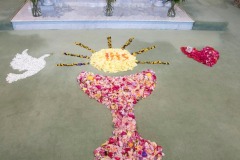 Procession-3